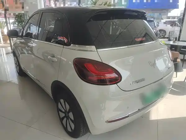 Wuling Bingo 2024