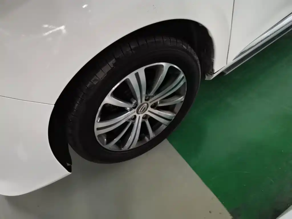 GAC Motor Trumpchi M8 2019 — фото 23