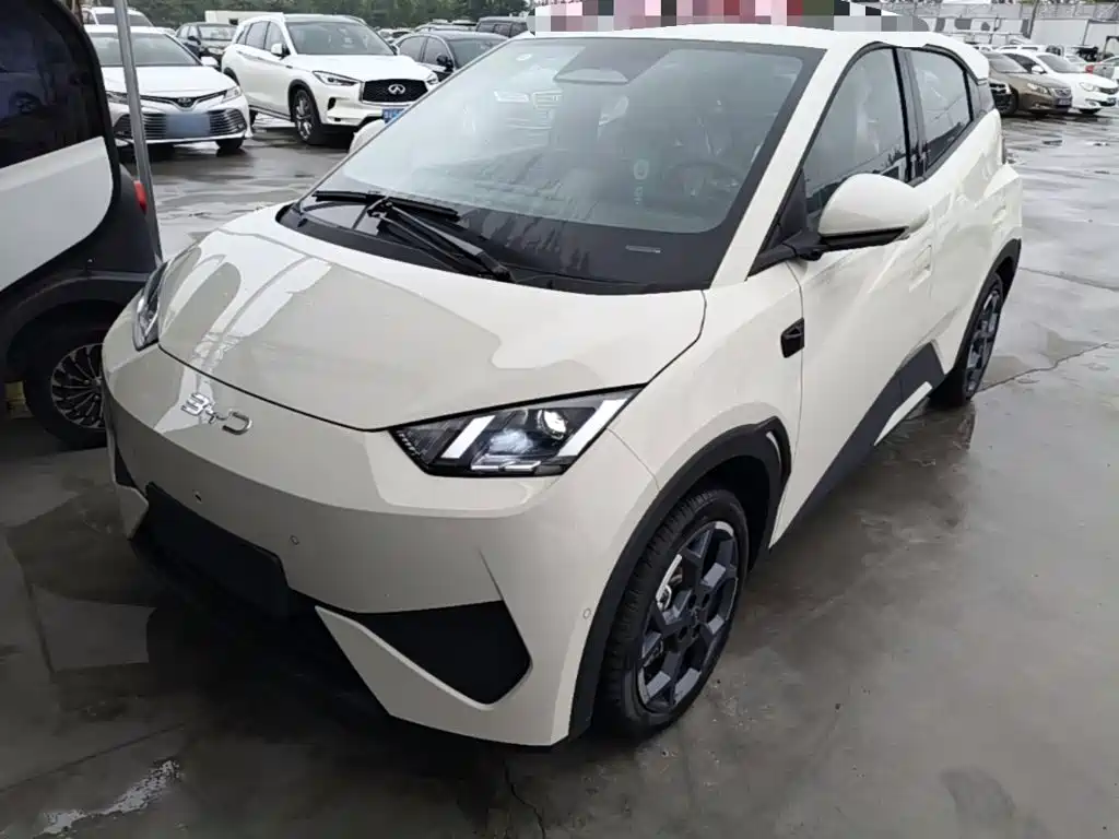 BYD Seagull 2026