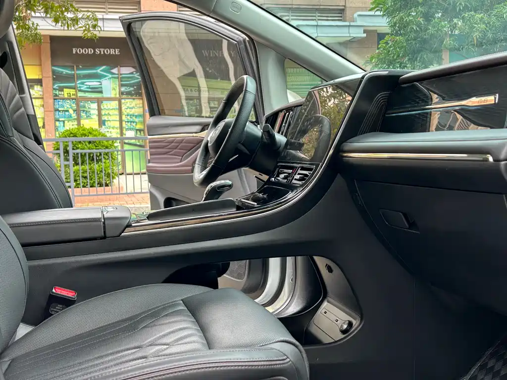 GAC Motor Trumpchi M8 2023 — фото 13