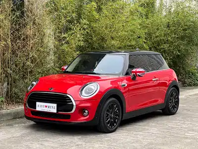 MINI MINI 2021