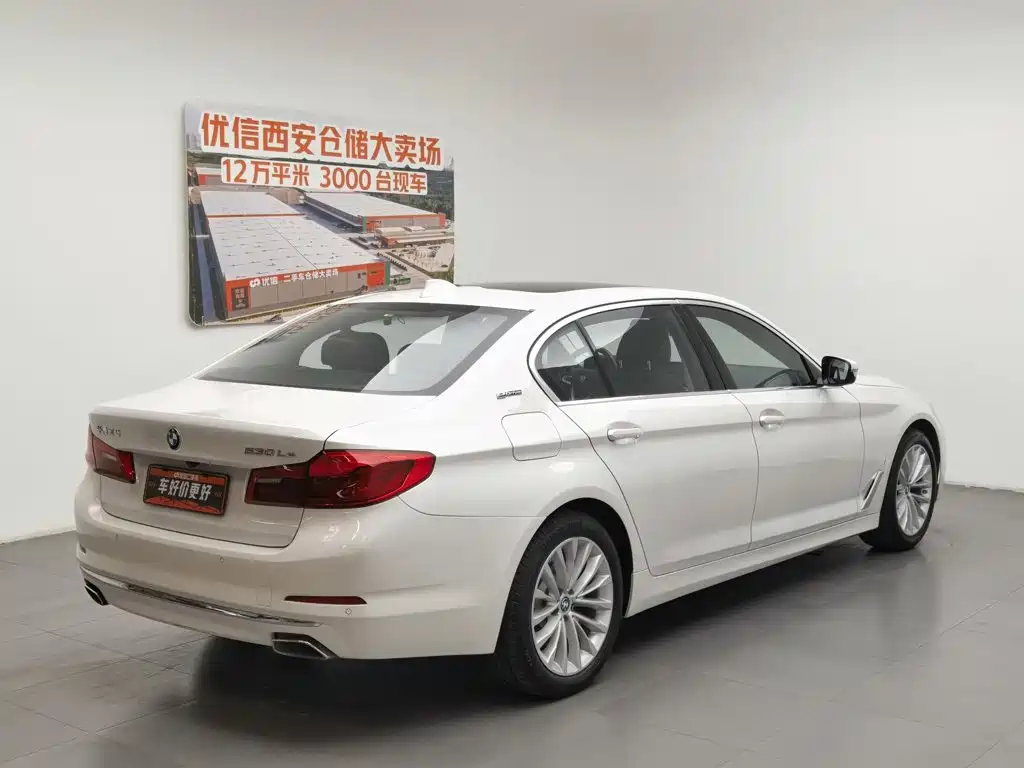 BMW 5 Series New Energy 2019