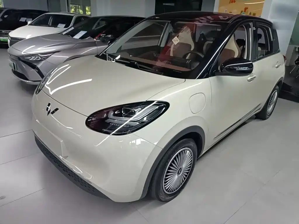 Wuling Bingo 2024