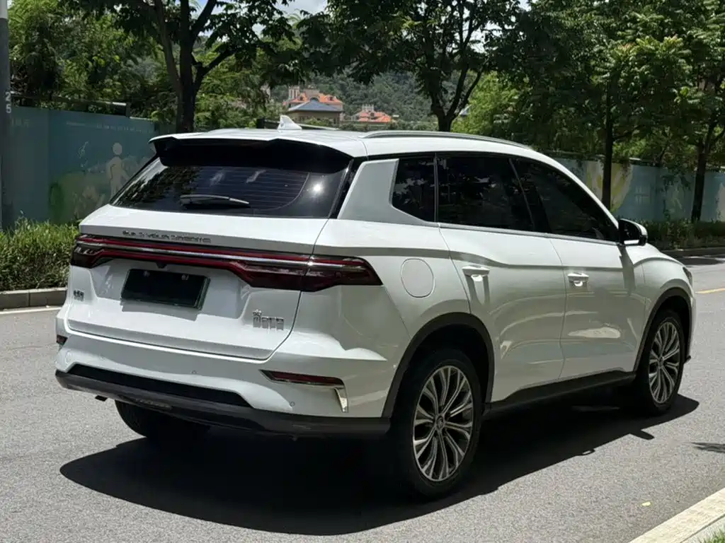 BYD Pro New Energy 2019 — фото 24