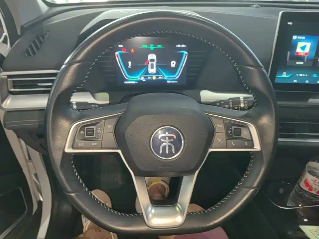 BYD Pro New Energy 2019