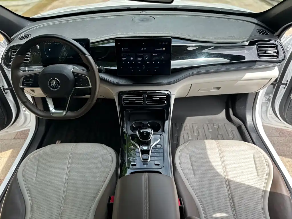 BYD Qin PLUS 2024 — фото 10