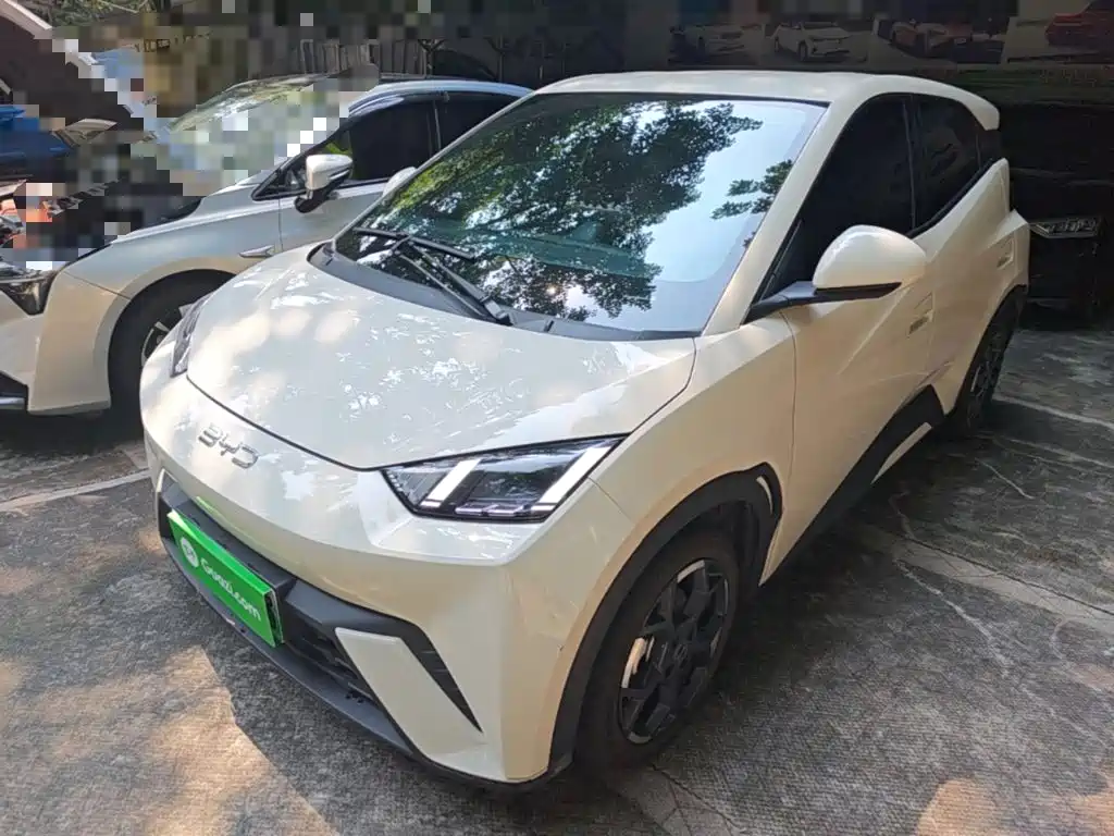 BYD Seagull 2024