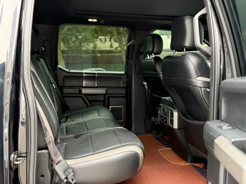 Ford F-150 Raptor 2018 — фото 13