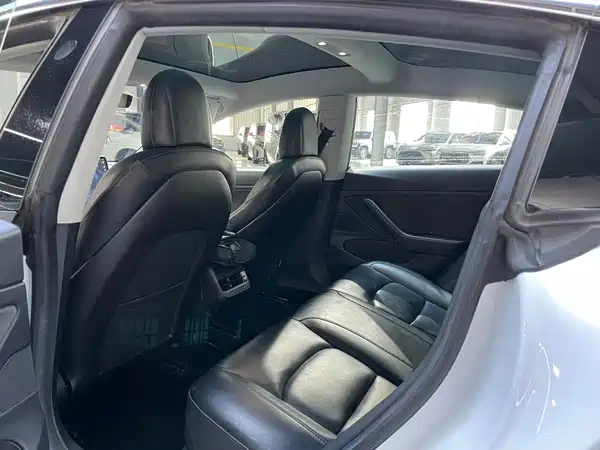 Tesla Model 3 2019