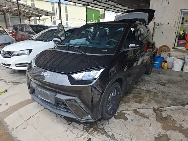 BYD Seagull 2024