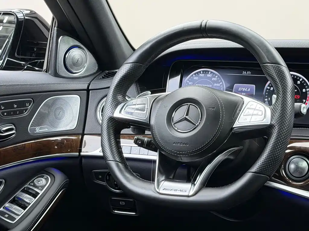 Mercedes-Benz S-Class AMG 2017 — фото 10