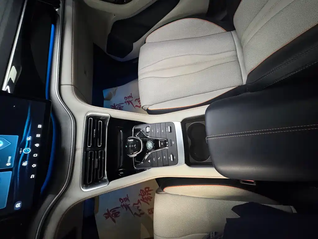 BYD PLUS New Energy 2023 — фото 20