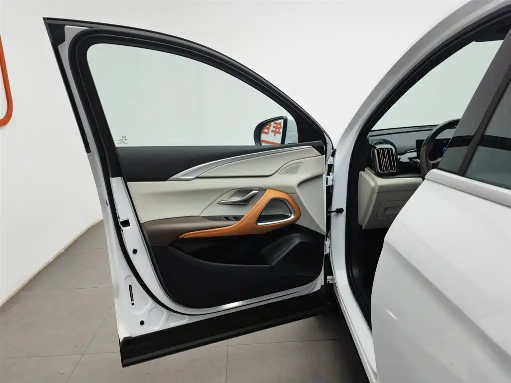 BYD Pro New Energy 2023 — фото 8