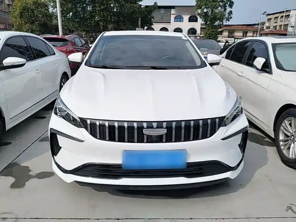 Geely Binrui 2024