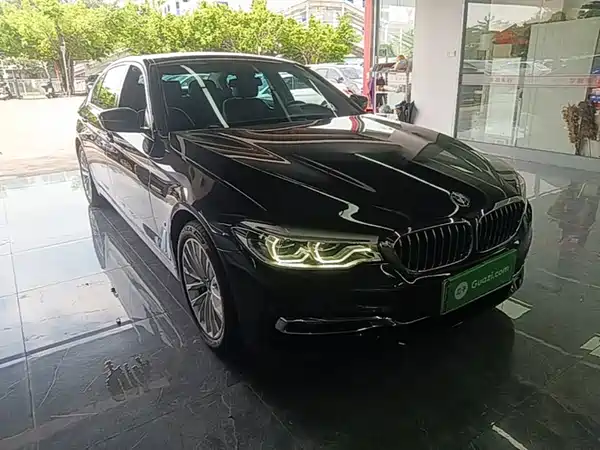 BMW 5 Series New Energy 2019