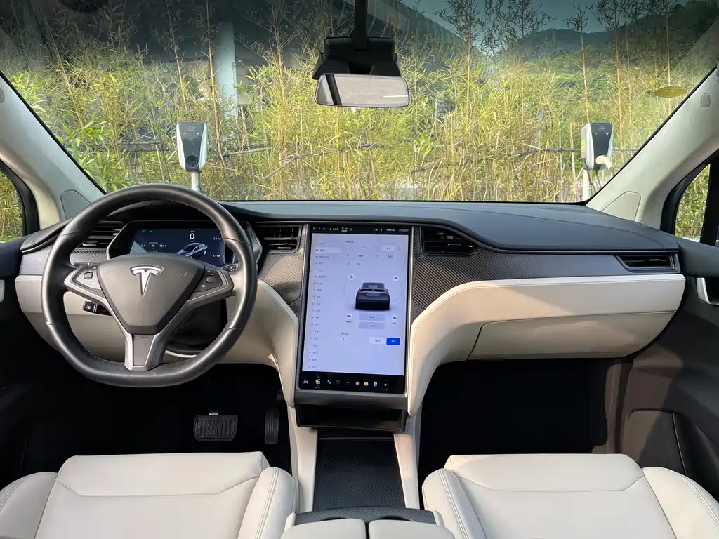 Tesla Model X 2019 — фото 10
