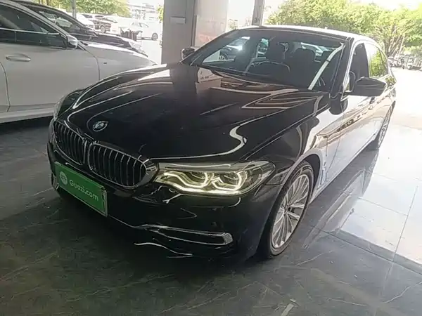 BMW 5 Series New Energy 2019