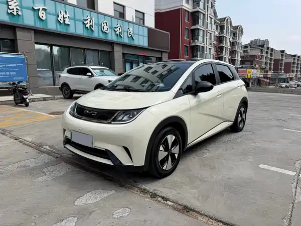 BYD Dolphin 2024