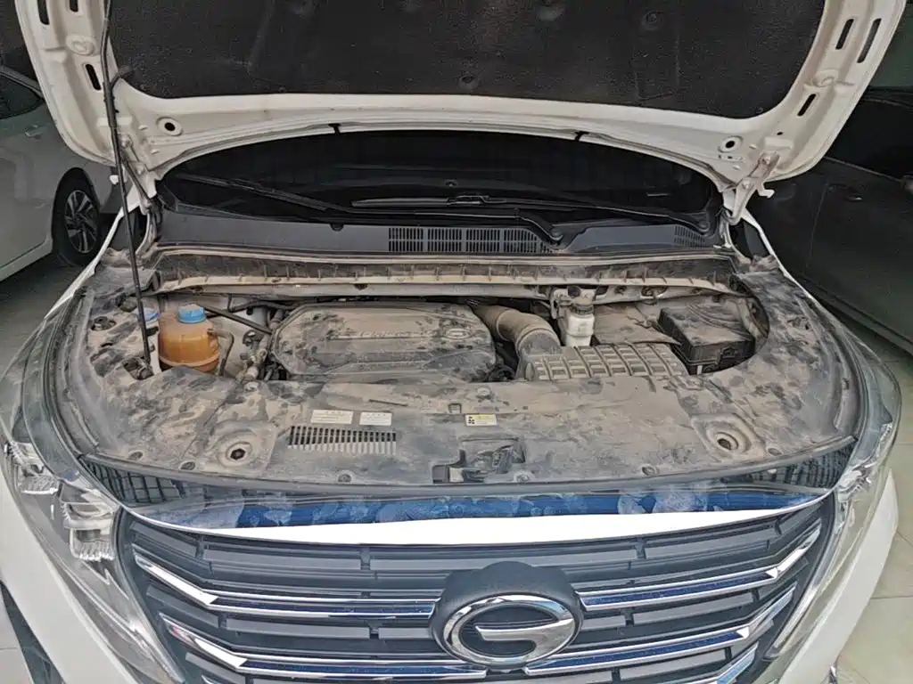 GAC Trumpchi M8 2021 — фото 16