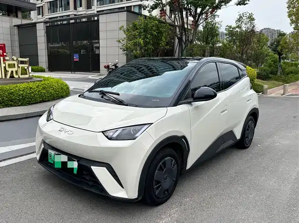 BYD Seagull 2025