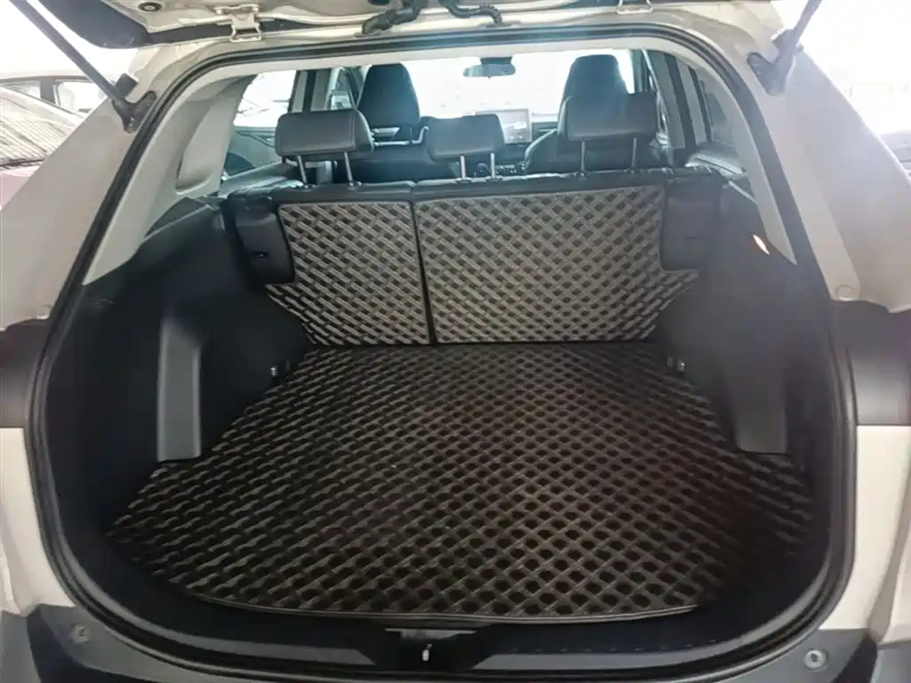 Toyota Wildlander 2022 — фото 19