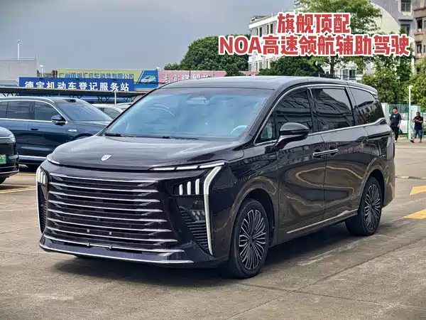Dongfeng Forthing Xinghai V9 2024