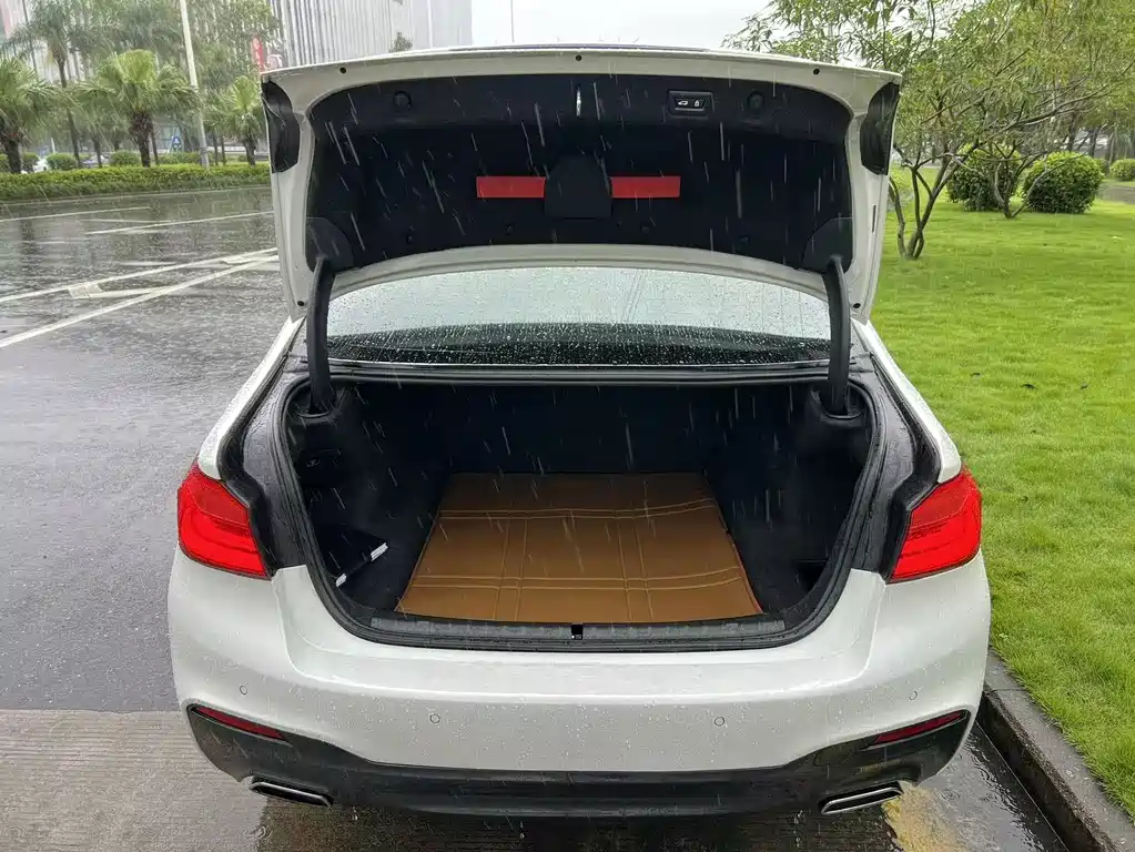 BMW 5 Series 2018 — фото 16