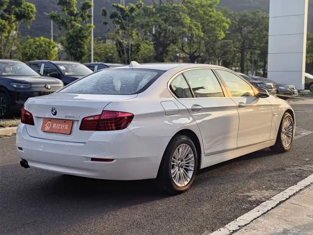 BMW 5 Series 2014 — фото 7