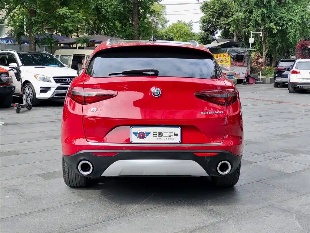 Alfa Romeo Stelvio 2019 — фото 5