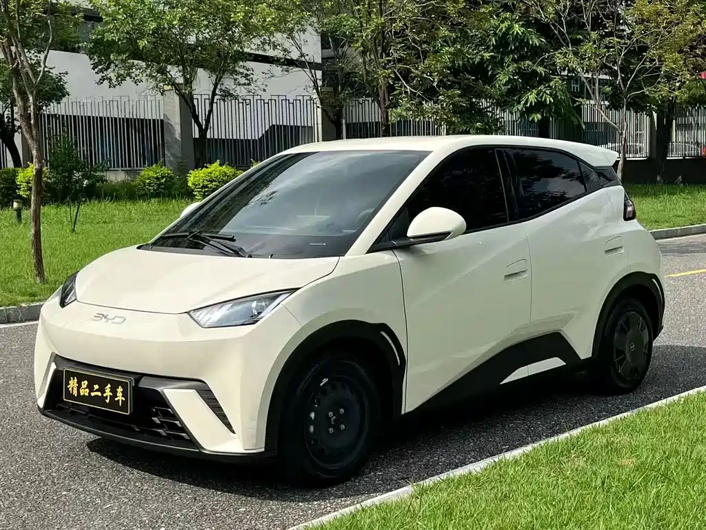 BYD Seagull 2024