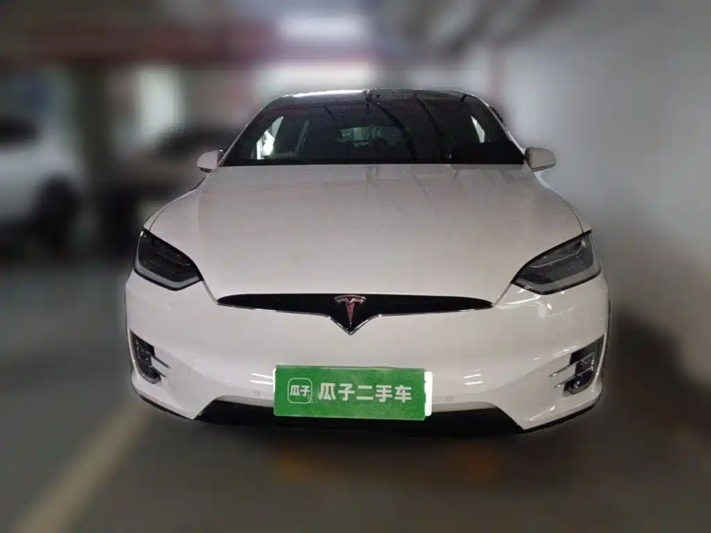 Tesla Model X 2020 — фото 24