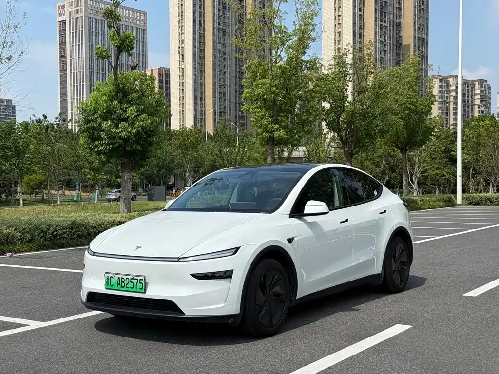 Tesla Model Y 2025 — фото 1