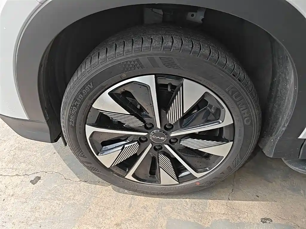 BYD PLUS New Energy 2025 — фото 23