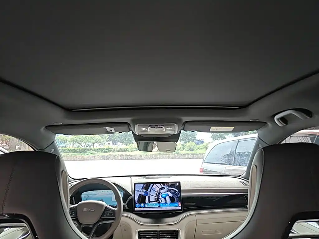 BYD PLUS New Energy 2025 — фото 18