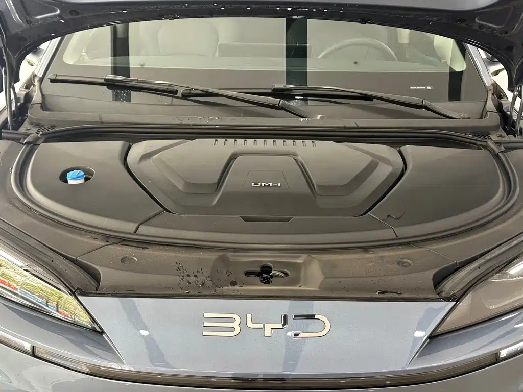 BYD Sealion 07 DM-i 2025 — фото 4