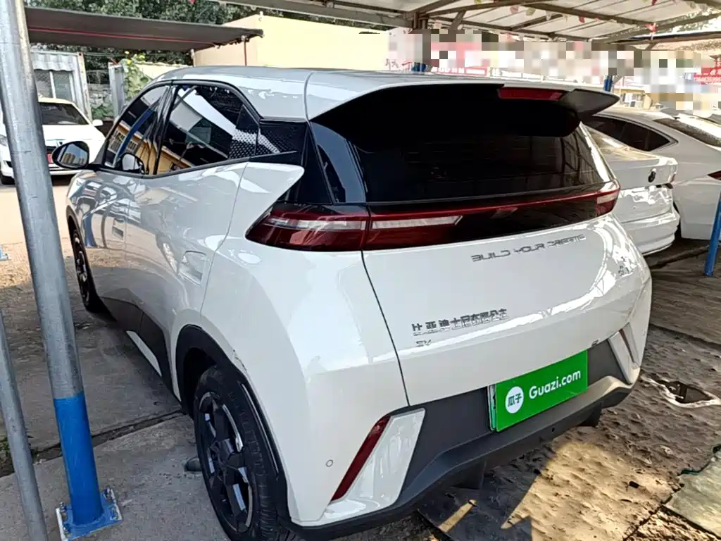 BYD Seagull 2024