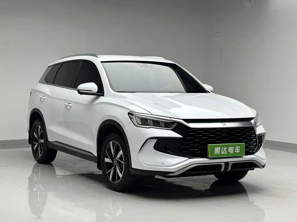 BYD Pro New Energy 2024 — фото 3