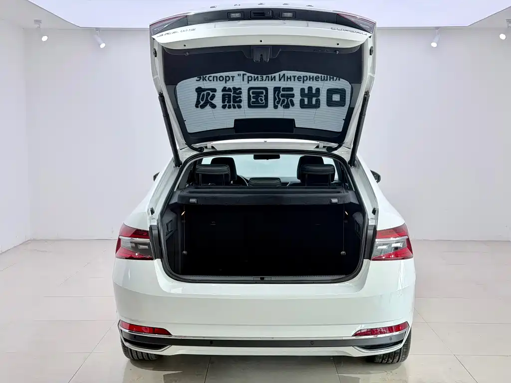 Skoda Speedy 2023 — фото 14