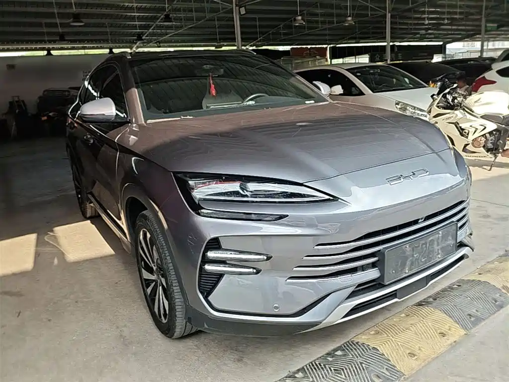 BYD PLUS New Energy 2024 — фото 4