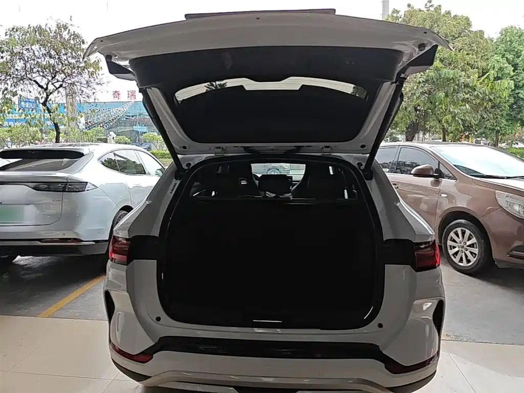 BYD PLUS New Energy 2025 — фото 19