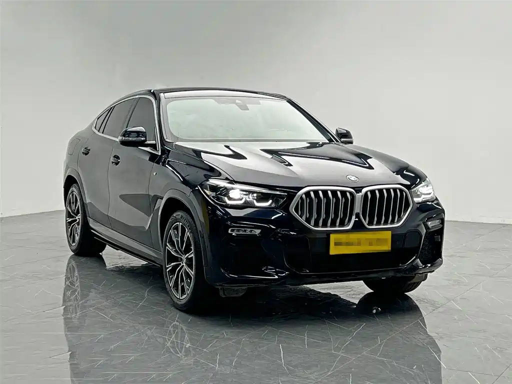 BMW X6 2021 — фото 8