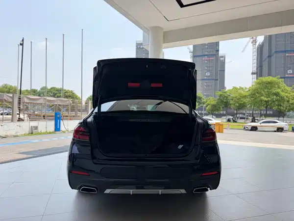 BMW 5 Series New Energy 2021