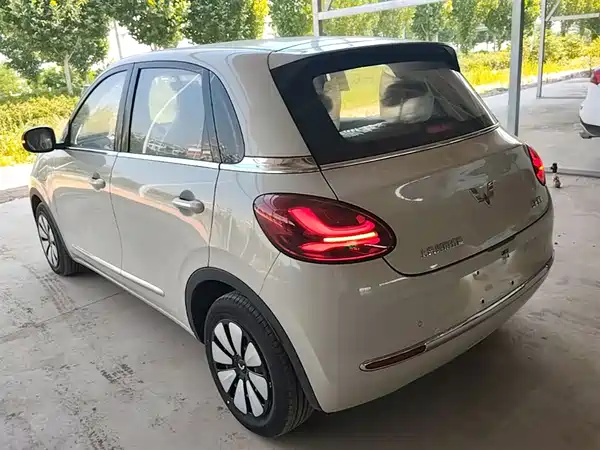 Wuling Bingo 2024