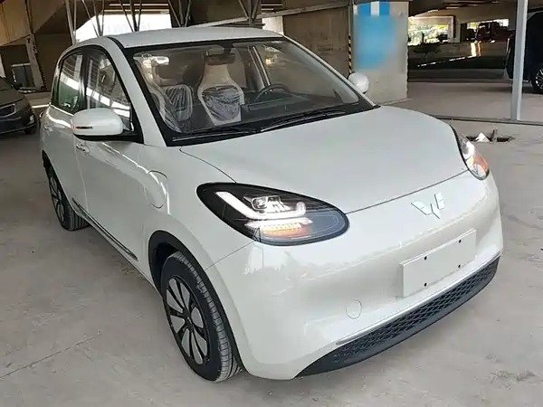 Wuling Bingo 2024