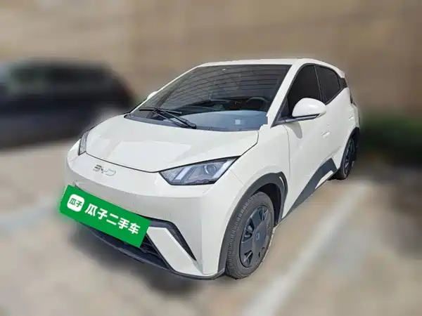 BYD Seagull 2024