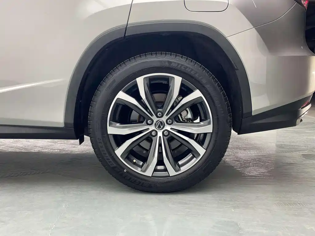 Lexus RX 2020 — фото 11