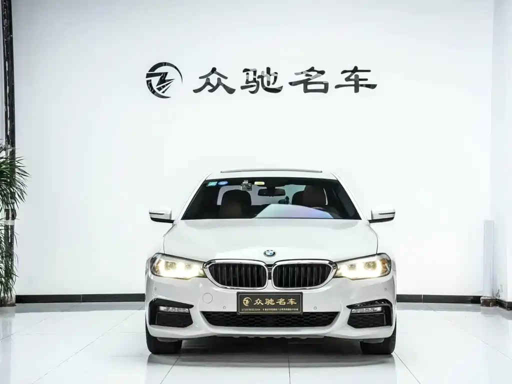 BMW 5 Series 2017 — фото 2