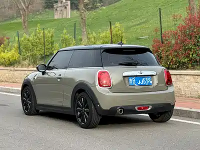 MINI MINI 2020