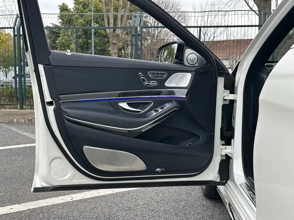 Mercedes-Benz S-Class AMG 2019 — фото 26