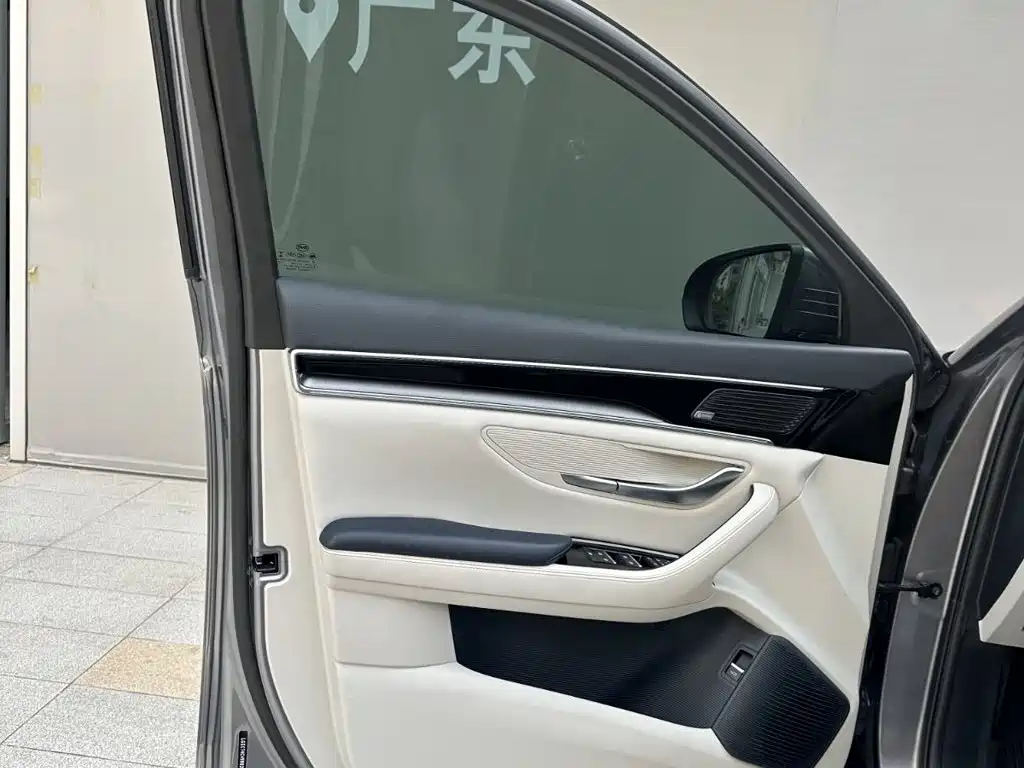 BYD Song PLUS New Energy 2022 — фото 19